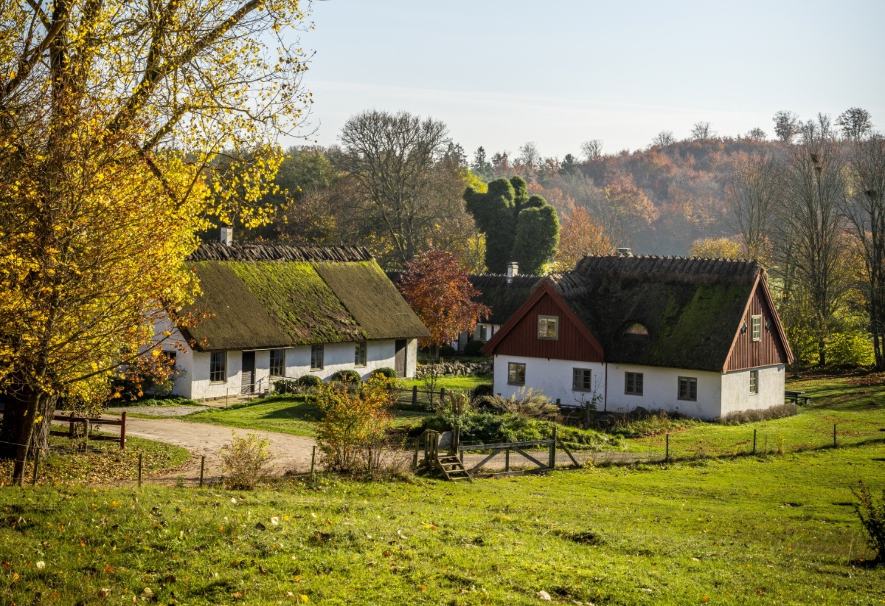 Ansök om stipendium 1–24.4 för en vistelse på Drakamöllan hösten 2026